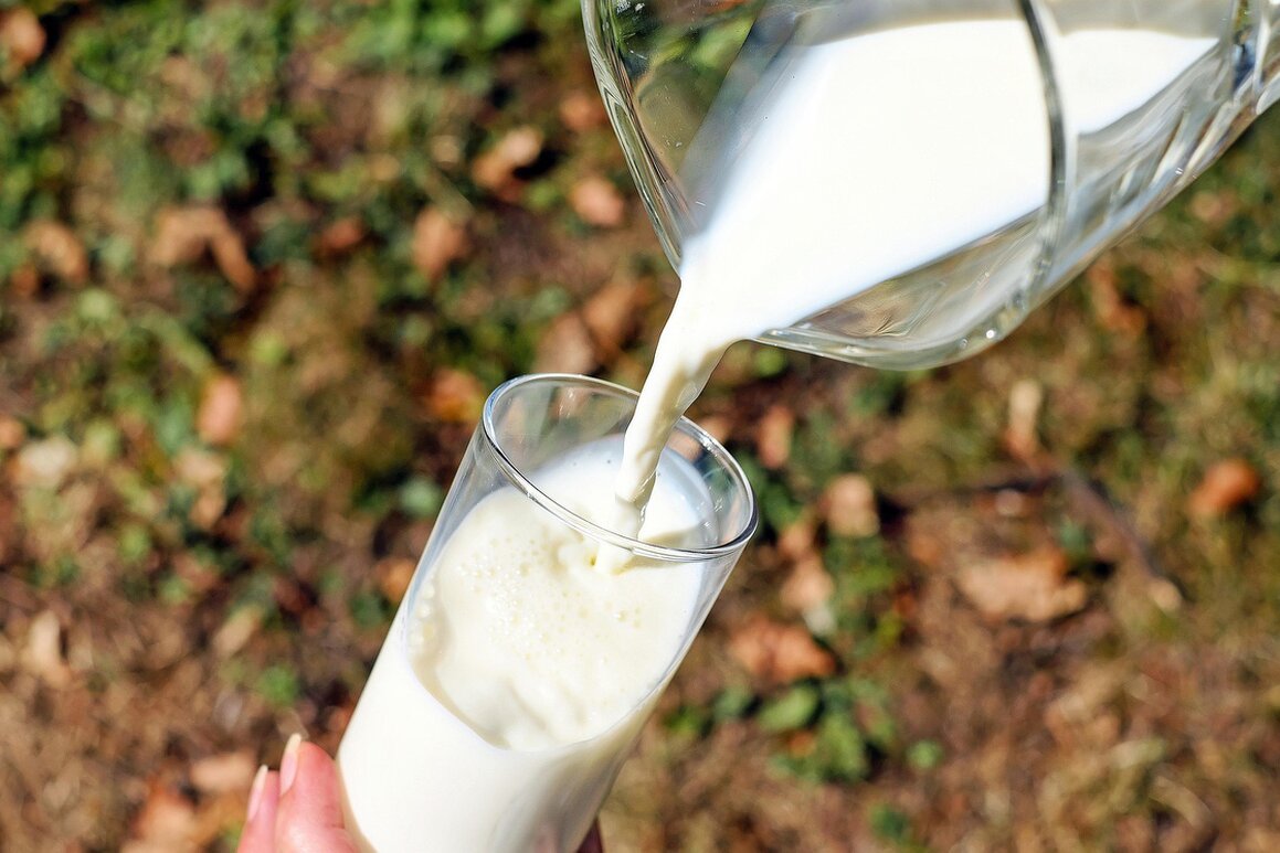 Latte fresco e forme di formaggio su tavolo rustico
